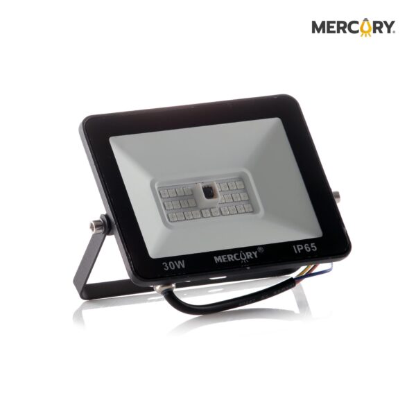 REFLECTOR LED 30W R.G.B. CON CONTROL
